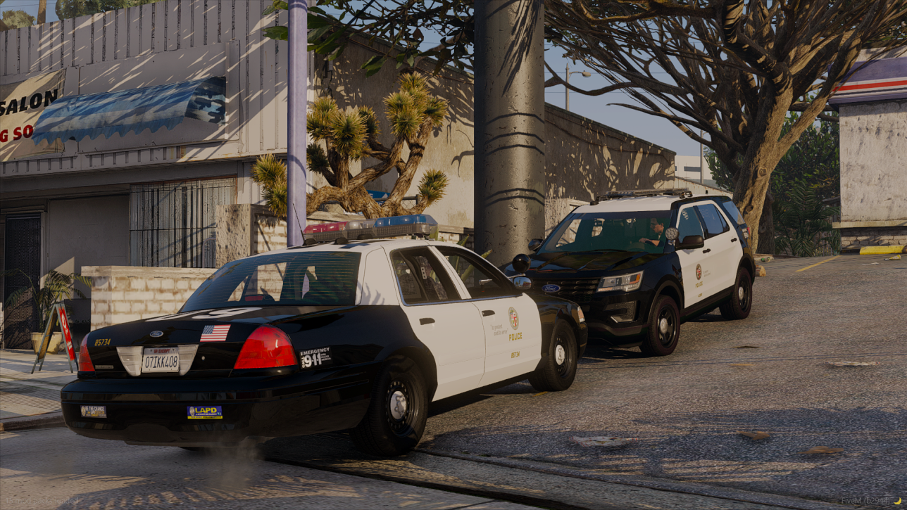 218_20240815021445_1