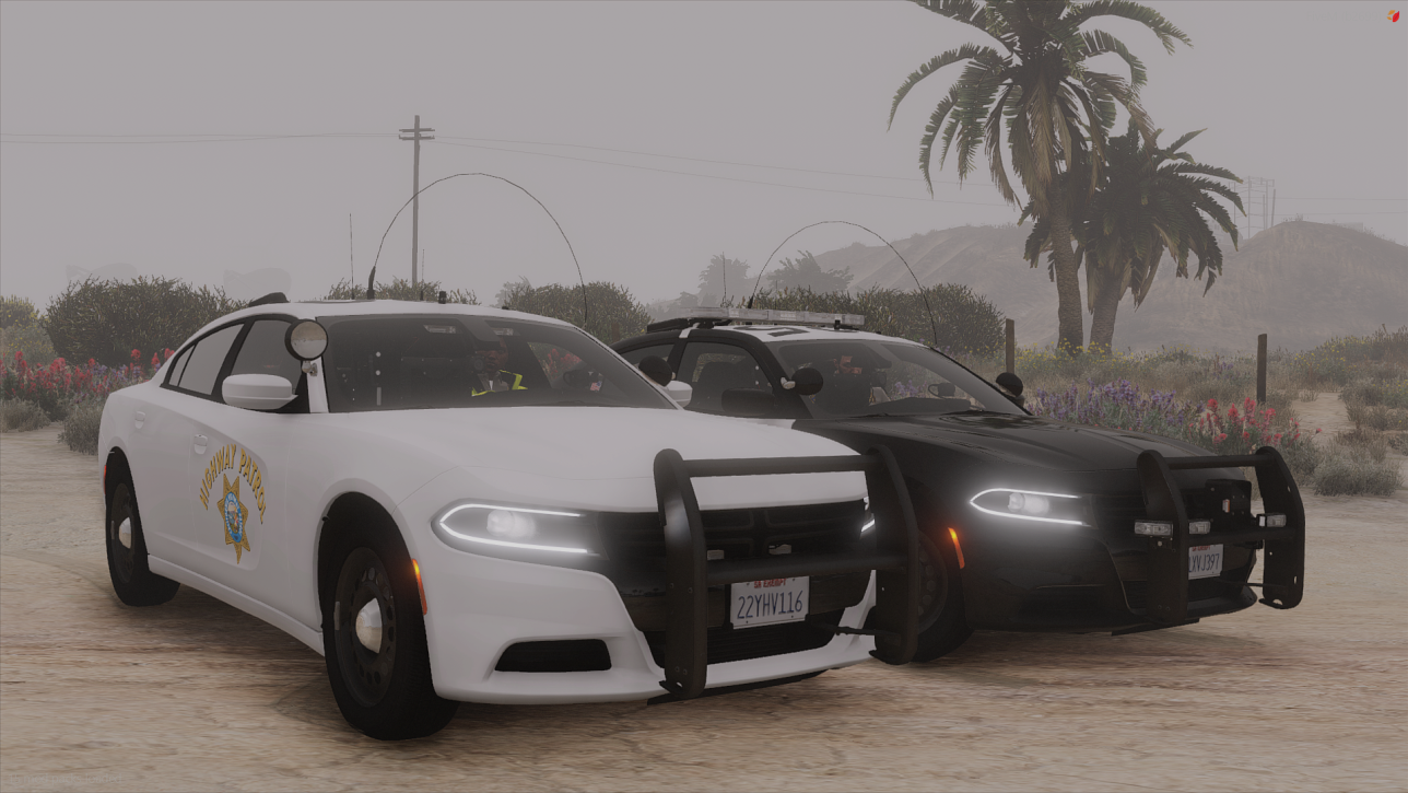 218_20240902091446_1